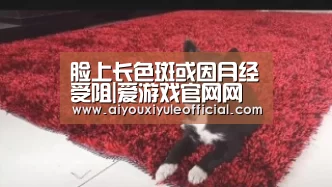 爱游戏娱乐入口