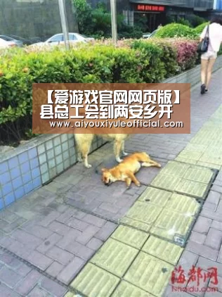 【爱游戏官网网页版】县总工会到两安乡开展春节走访慰问全国劳模、自治区劳模活动(图3) 爱游戏网页版