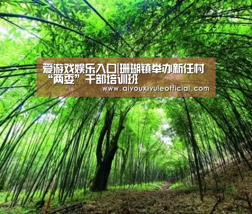 爱游戏娱乐入口