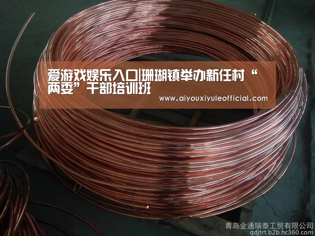 爱游戏娱乐入口