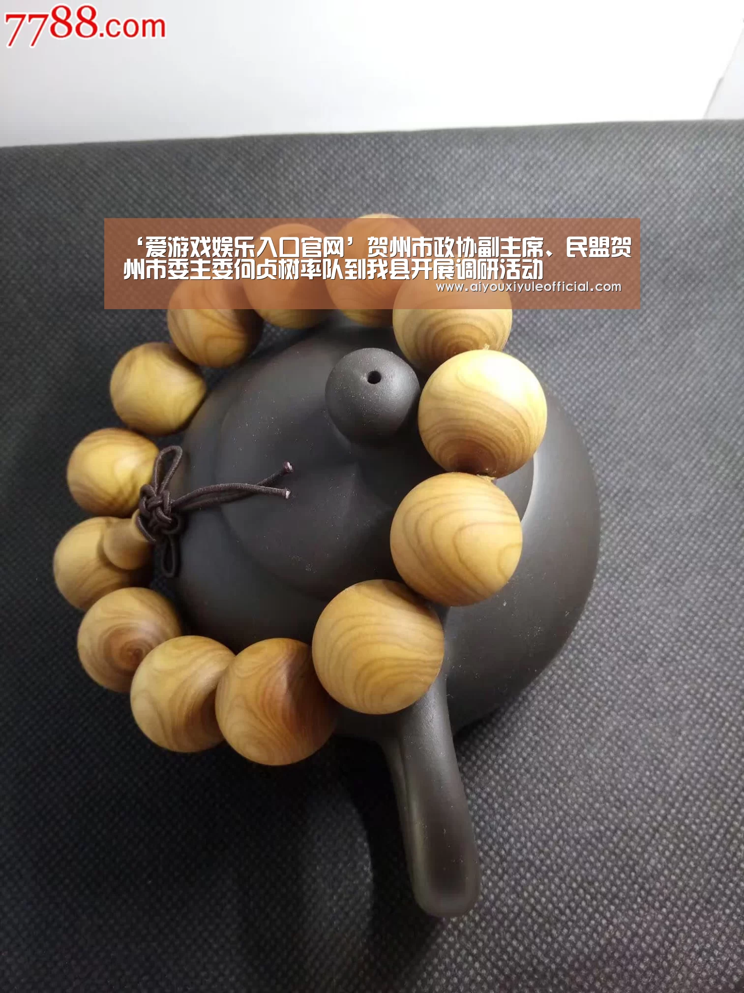 ‘爱游戏娱乐入口官网’贺州市政协副主席、民盟贺州市委主委何贞树率队到我县开展调研活动(图2) 爱游戏娱乐入口