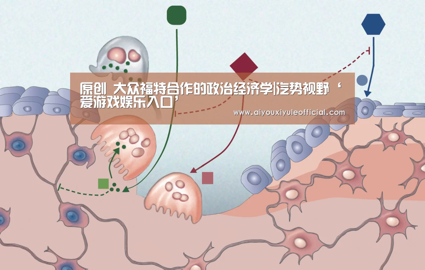 爱游戏娱乐入口官网