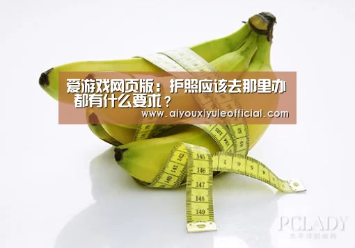 爱游戏网页版:护照应该去那里办 都有什么要求?(图2) 爱游戏官网网页版